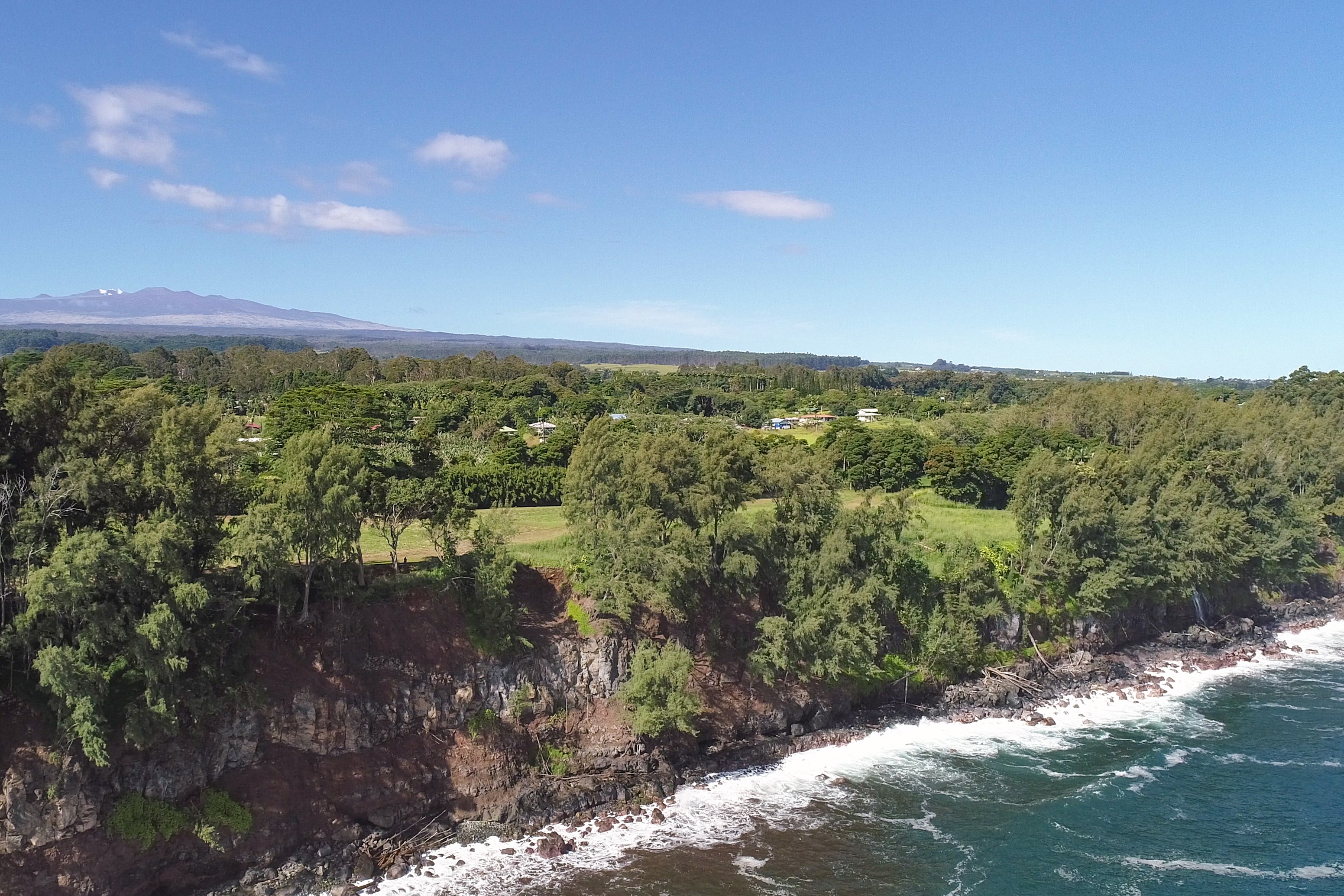 29-3818 Hawaii Belt Road Hakalau, HI 96710 - Photo 4 of 11 a view of a lake with mountains in the background