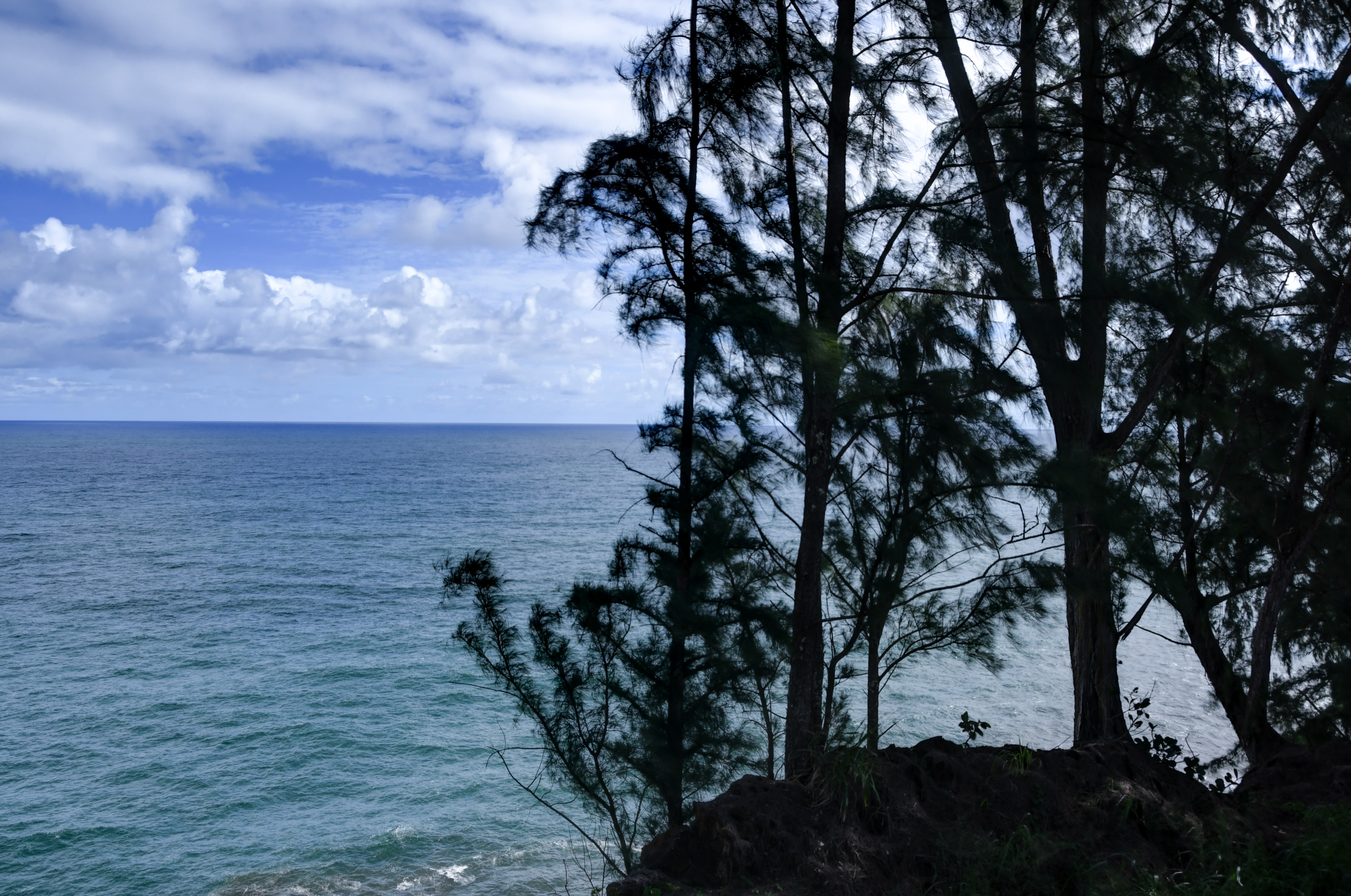 29-3818 Hawaii Belt Road Hakalau, HI 96710 - Photo 6 of 11 a view of a lake