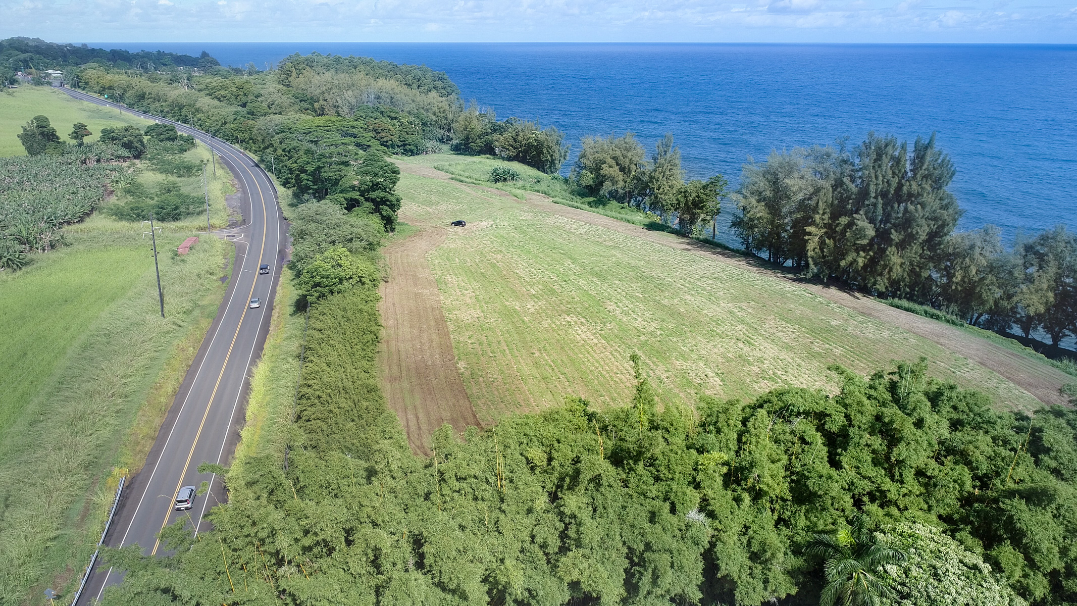 29-3818 Hawaii Belt Road Hakalau, HI 96710 - Photo 8 of 11 a view of a yard with an outdoor space
