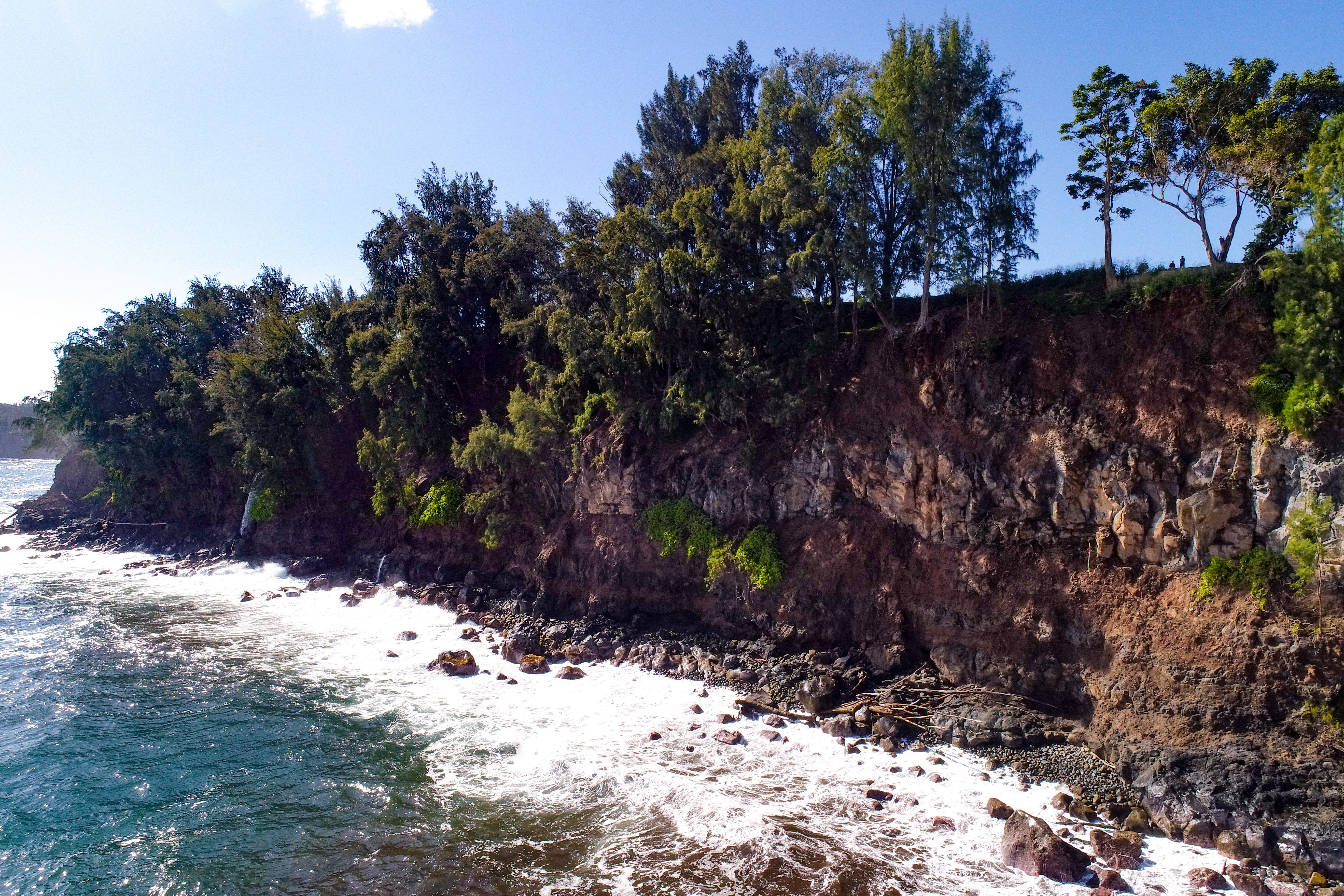 29-3818 Hawaii Belt Road Hakalau, HI 96710 - Photo 10 of 11 a view of a yard covered in snow