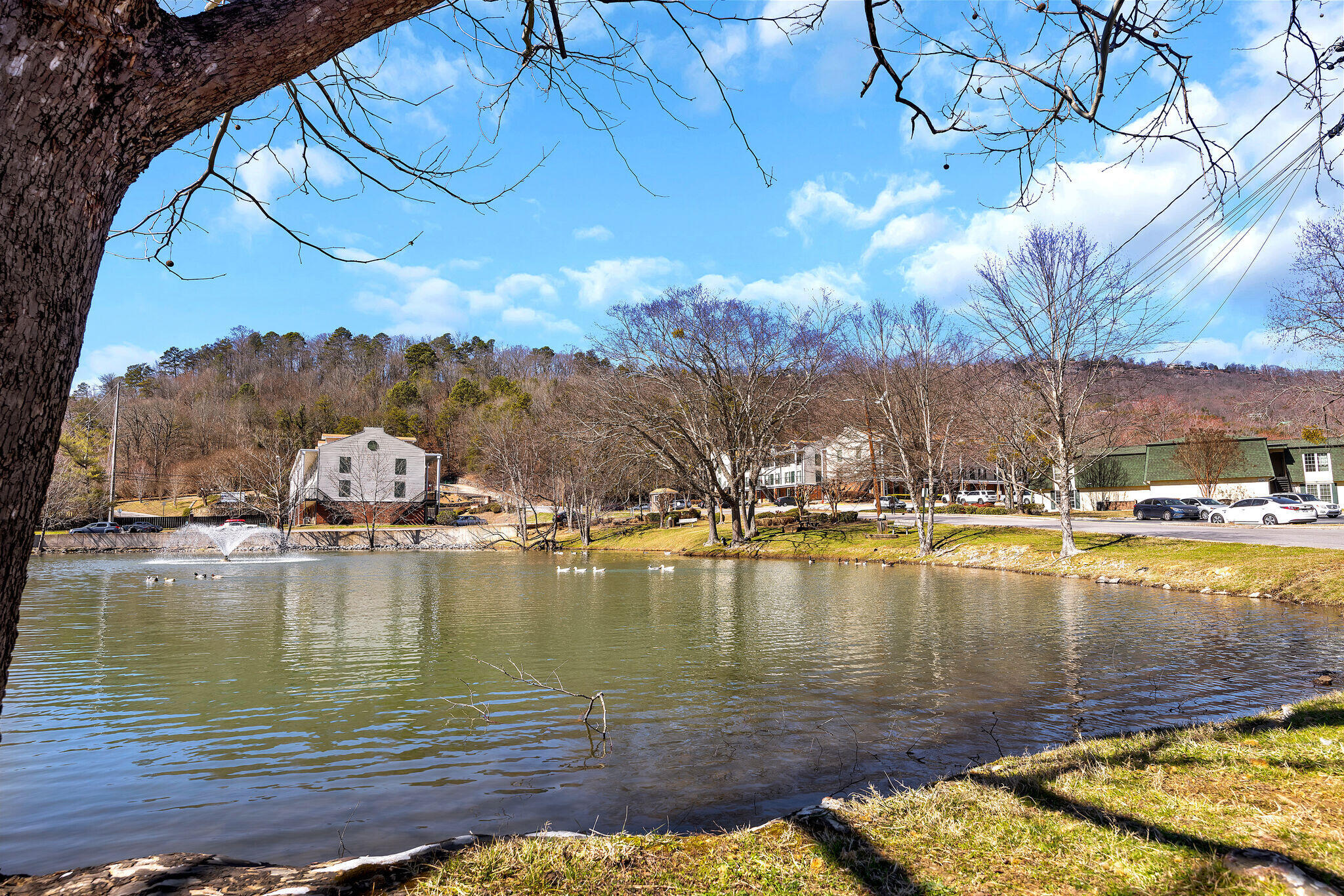 900 Mountain Creek Road, Unit 173 Chattanooga, TN 37405 - Photo 18 of 24 rp2402191-2018