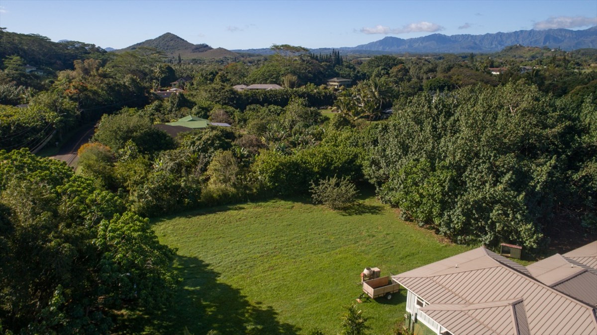 609 Kamalu Road, Unit 1 Kapaa, HI 96746 - Photo 5 of 10 a view of a green field with an ocean