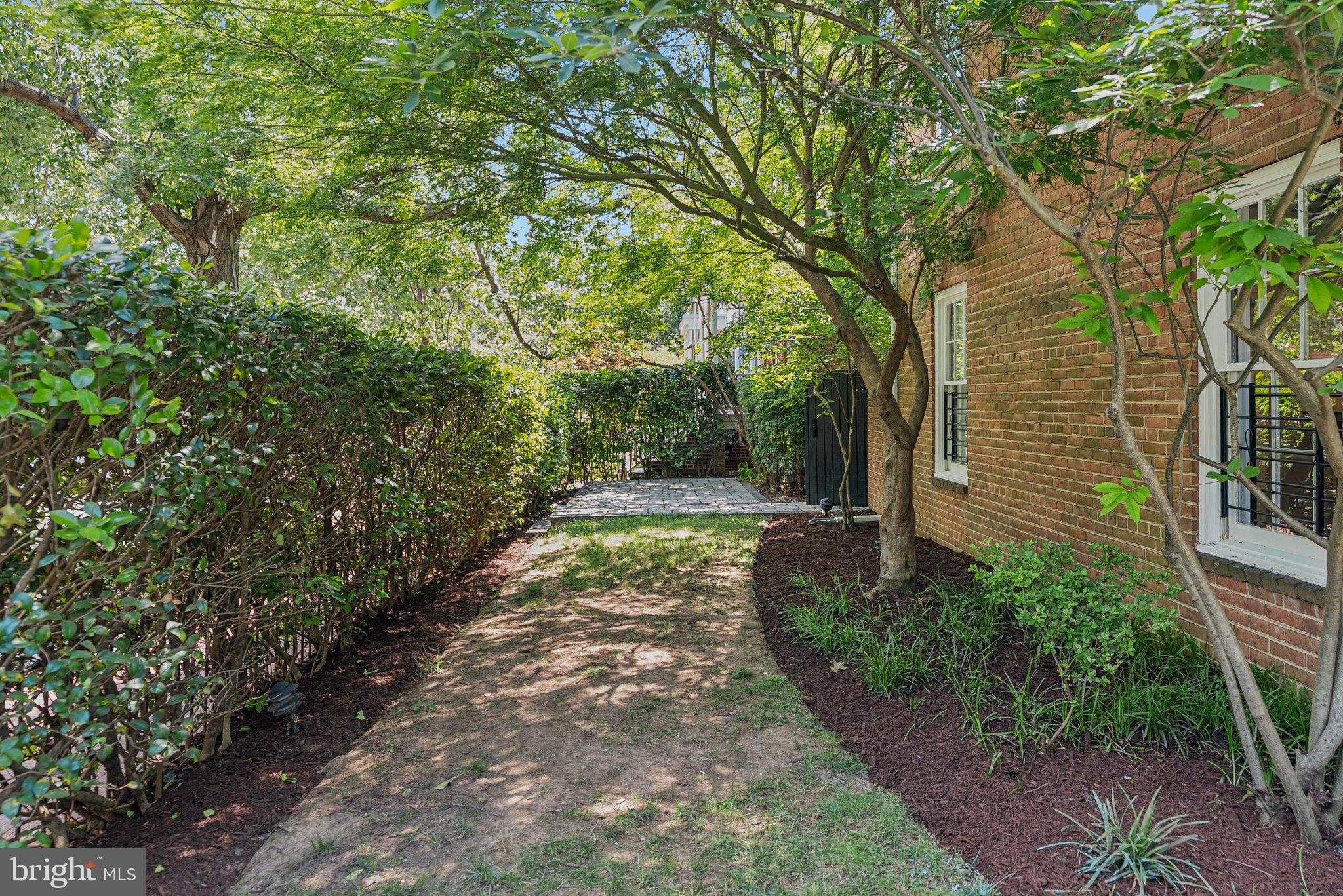 657 E Street Southeast Washington, DC 20003 - Photo 6 of 41 a view of a yard with plants and trees