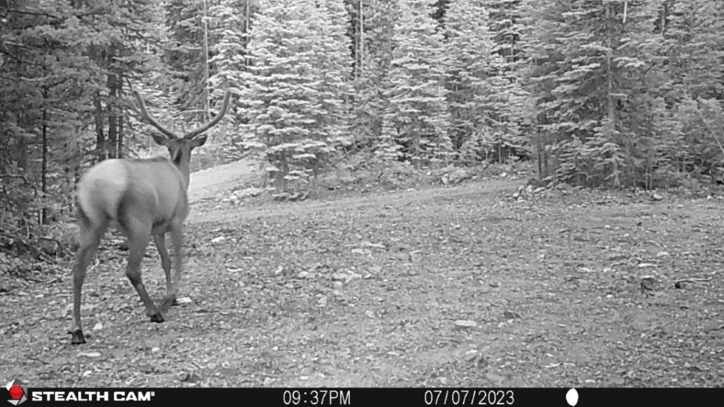 7 South Boulder Road Cardwell, MT 59721 - Photo 29 of 39 Gallery Image 29