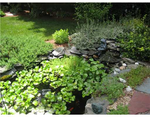 Other. The koi pond has a lovely waterfall and comes fully stocked for your pleasure.