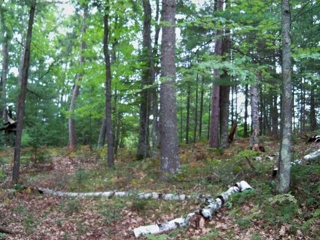 8075 Rainbow Road Lake Tomahawk, WI 54539 - Photo 15 of 20 Gallery Image 15
