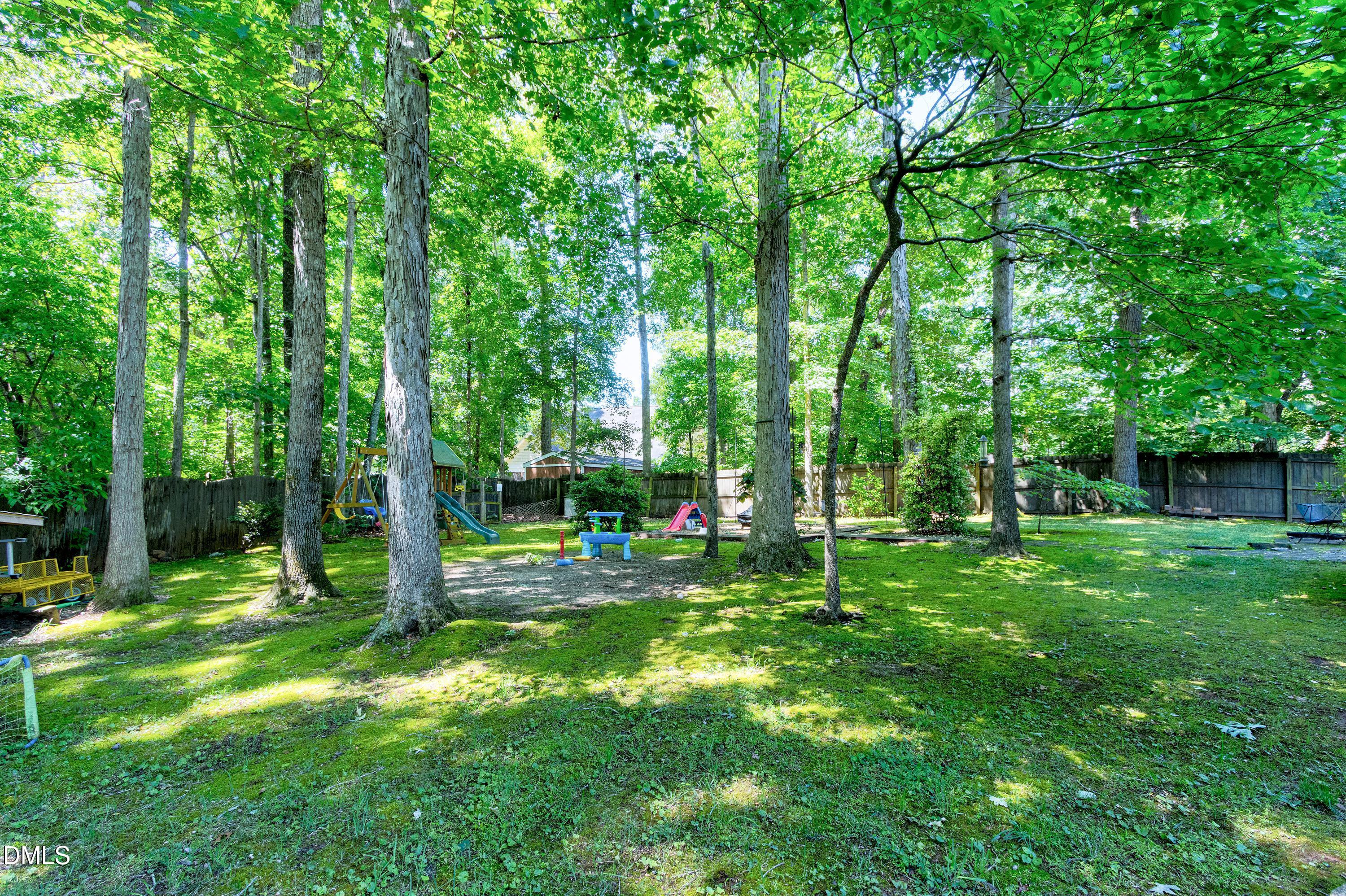 1320 Taylor Farm Road Raleigh, NC 27603 - Photo 40 of 56 a view of a park with a tree