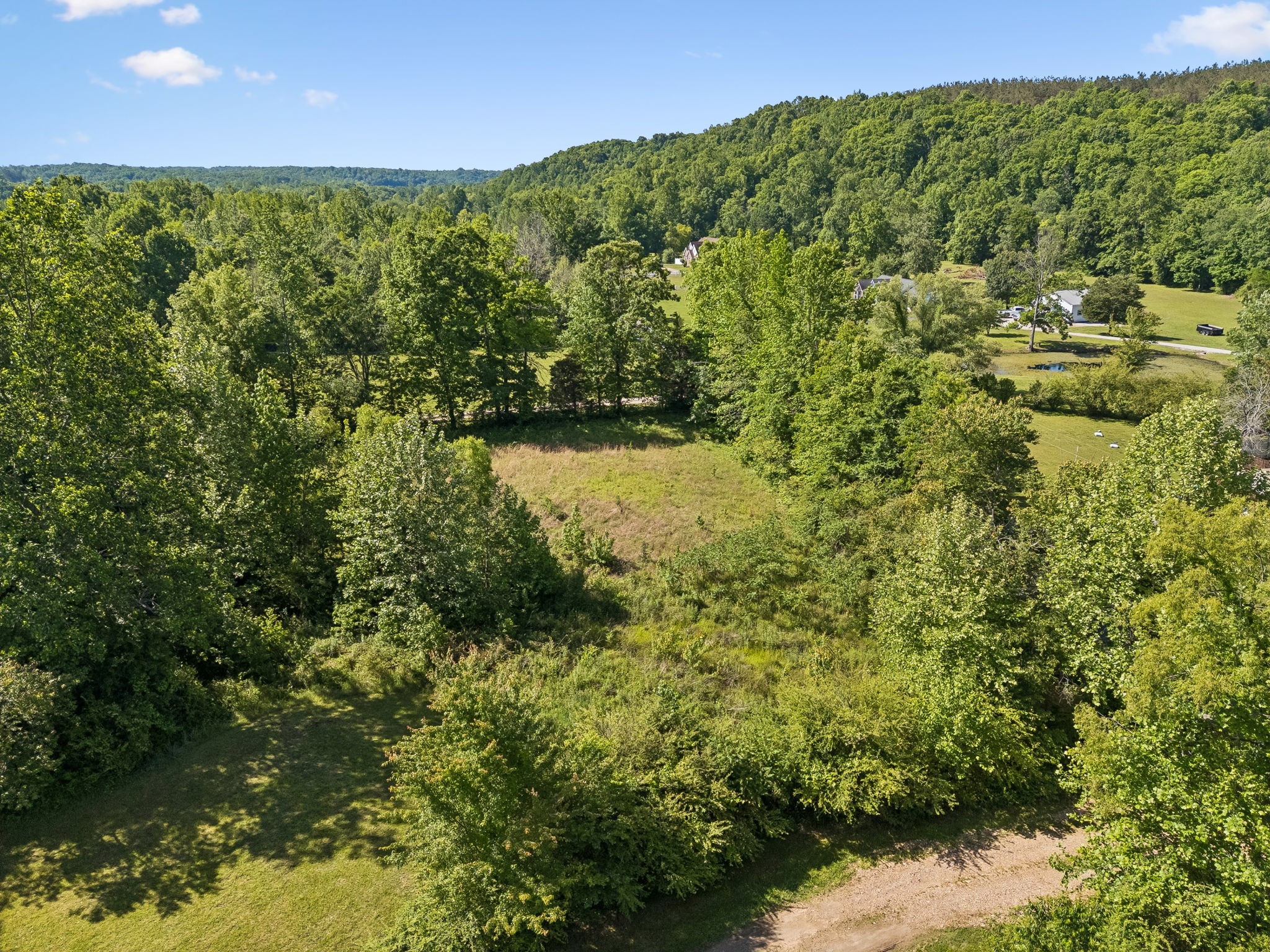 619 Longbranch Road Hohenwald, TN 38462 - Photo 60 of 82 Gallery Image 60