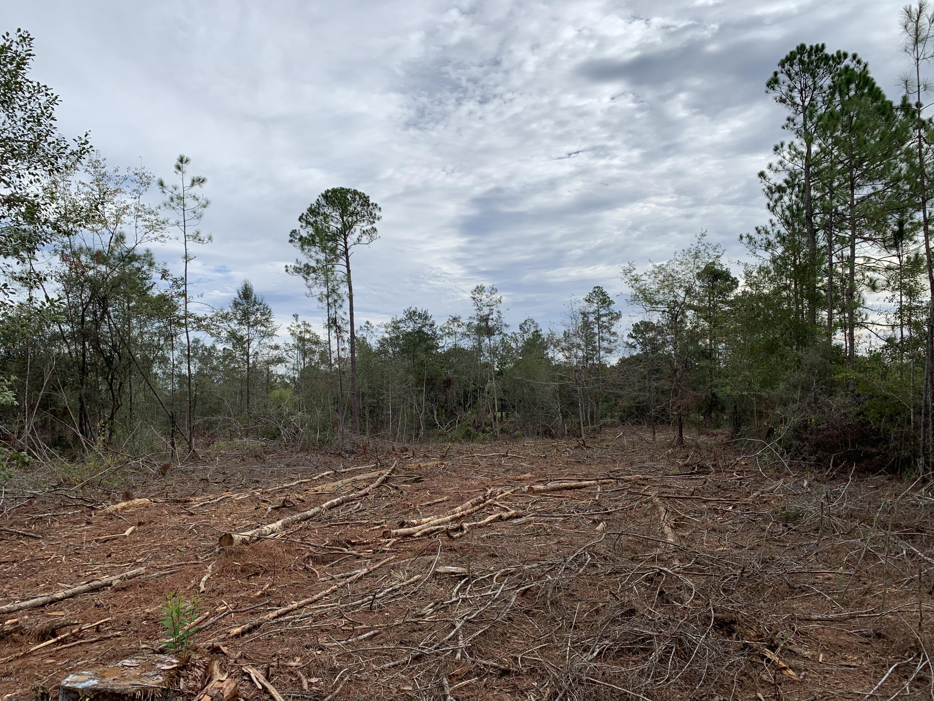 5 Firetower Road Kiln, MS 39556 - Photo 17 of 27 IMG_0714