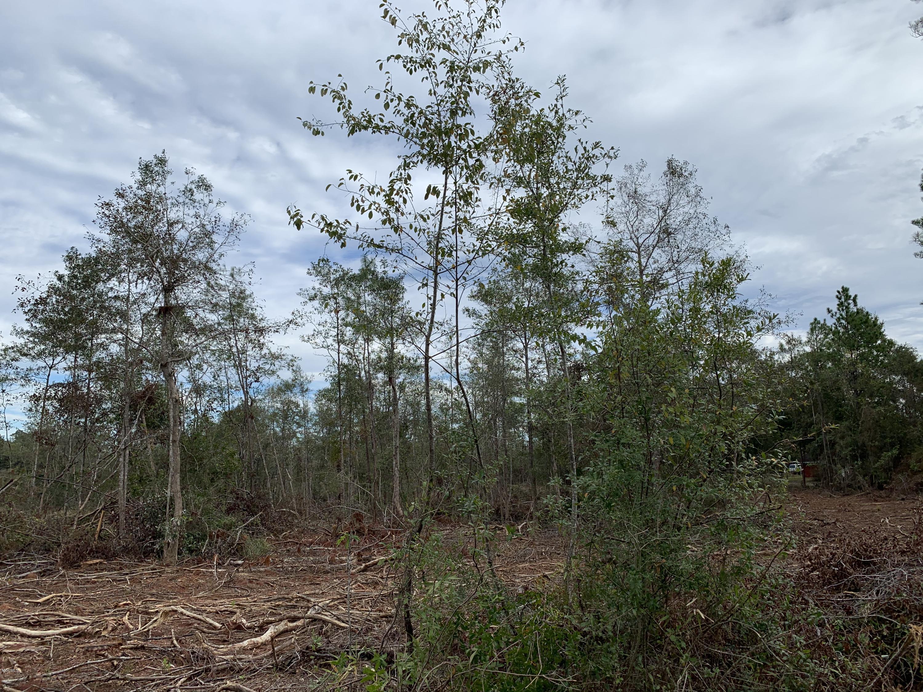 5 Firetower Road Kiln, MS 39556 - Photo 18 of 27 IMG_0709