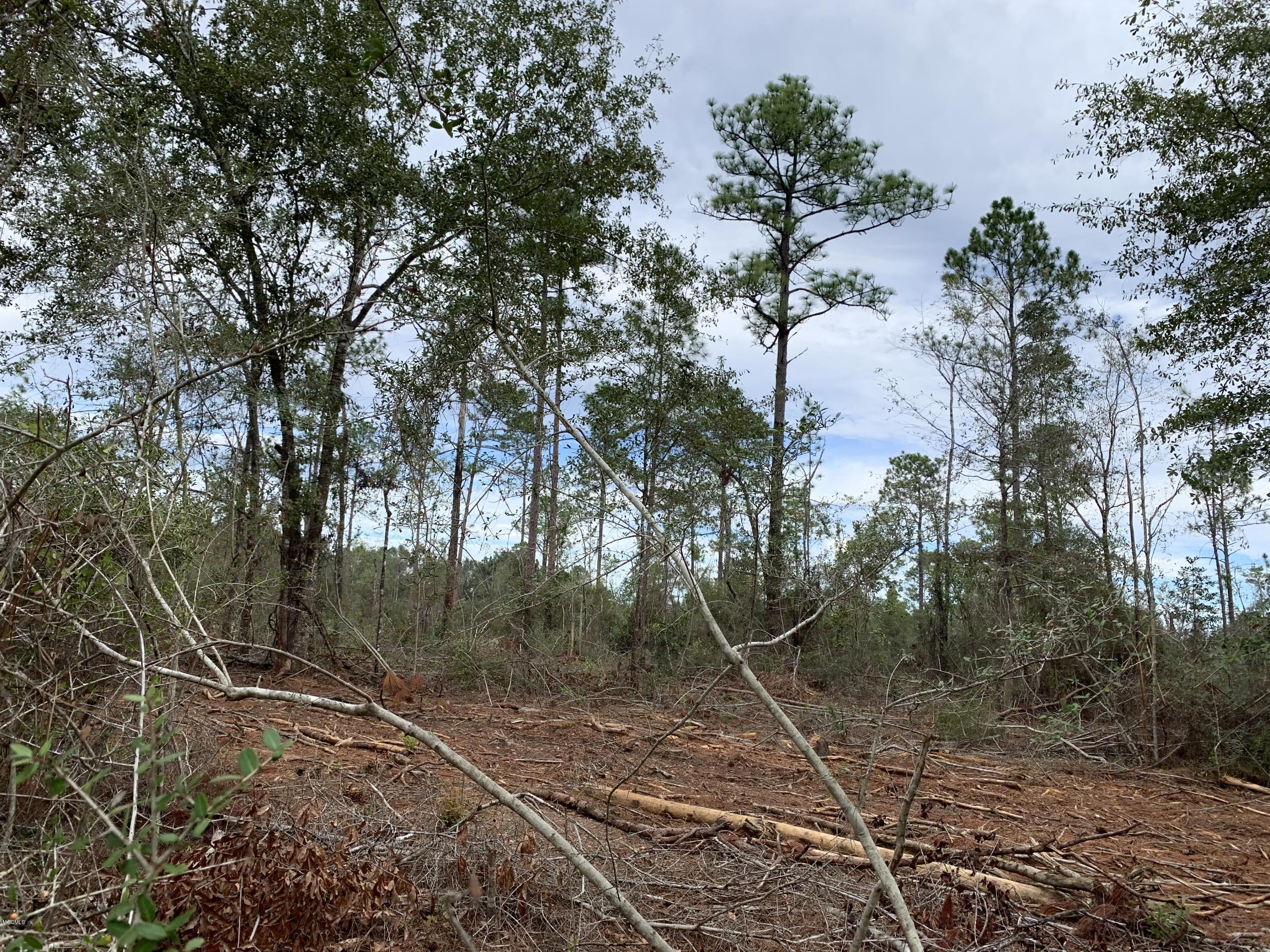 5 Firetower Road Kiln, MS 39556 - Photo 20 of 27 IMG_0712