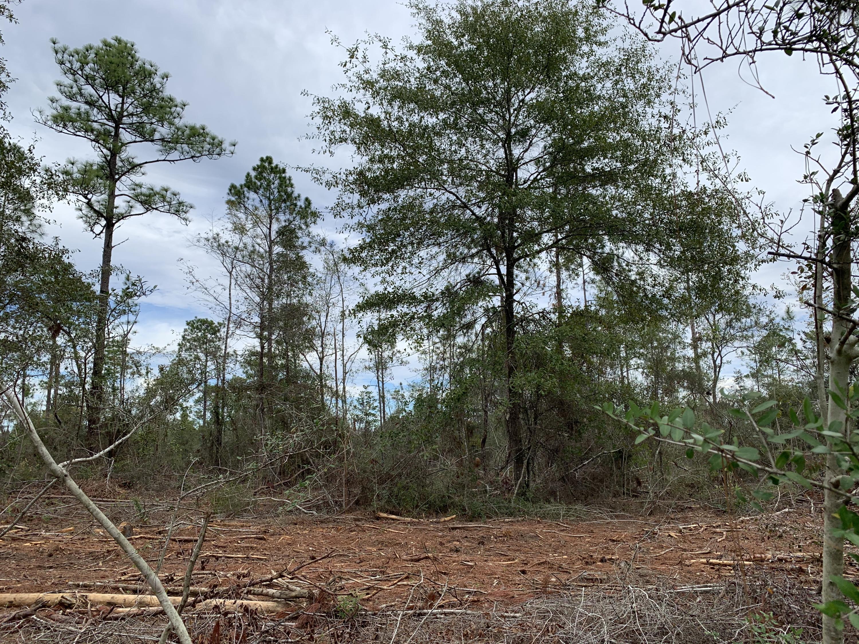 5 Firetower Road Kiln, MS 39556 - Photo 21 of 27 IMG_0713