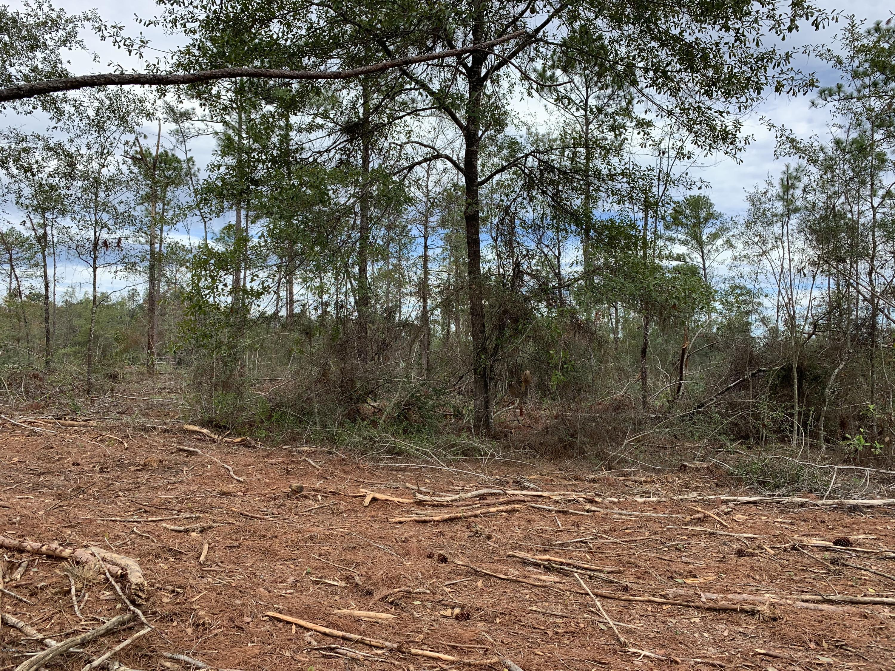 5 Firetower Road Kiln, MS 39556 - Photo 23 of 27 IMG_0716