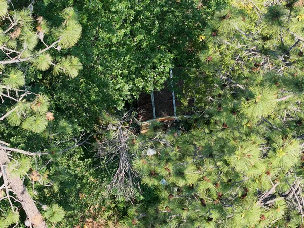 a view of a yard with plants and a brick wall