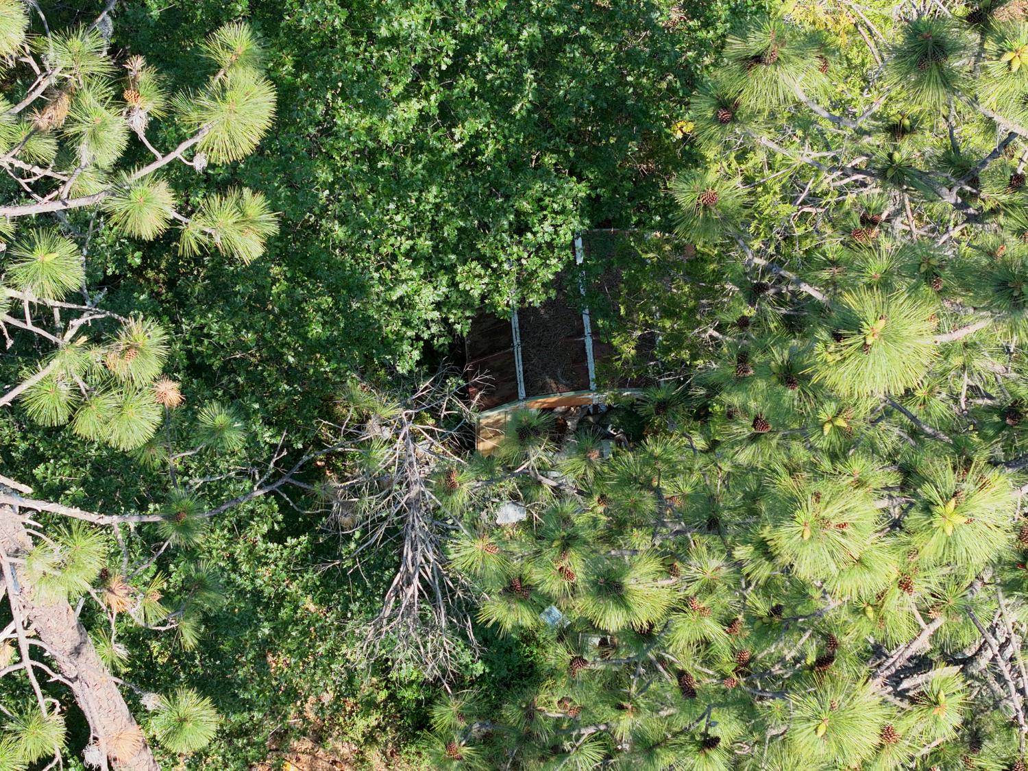 8671 La Porte Road Brownsville, CA 95919 - Photo 11 of 13 a backyard of a house with lots of green space and a fountain