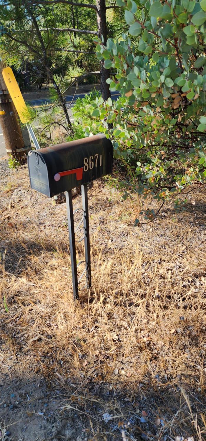 8671 La Porte Road Brownsville, CA 95919 - Photo 12 of 13 a view of a yard with plants and a brick wall