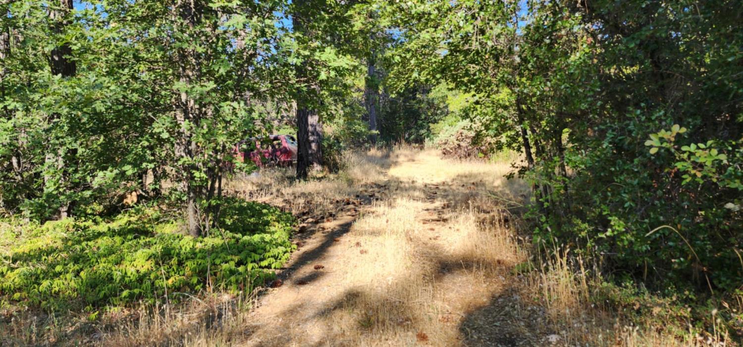 8671 La Porte Road Brownsville, CA 95919 - Photo 2 of 13 a view of a yard