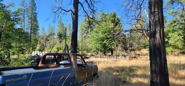 a view of a lake with a tree