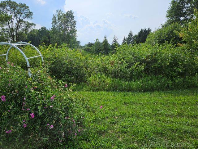 5325 Washington Road Carsonville, MI 48419 - Photo 50 of 53
