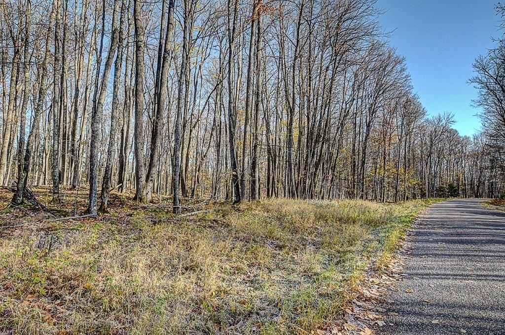 On Timber Wolf Road, Unit LOT #31 Presque Isle, WI 54557 - Photo 8 of 13 Gallery Image 8