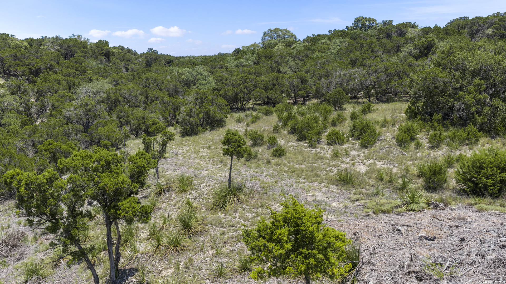 29008 Cibolo Cliff Road Bulverde, TX 78163 - Photo 25 of 50 Gallery Image 25