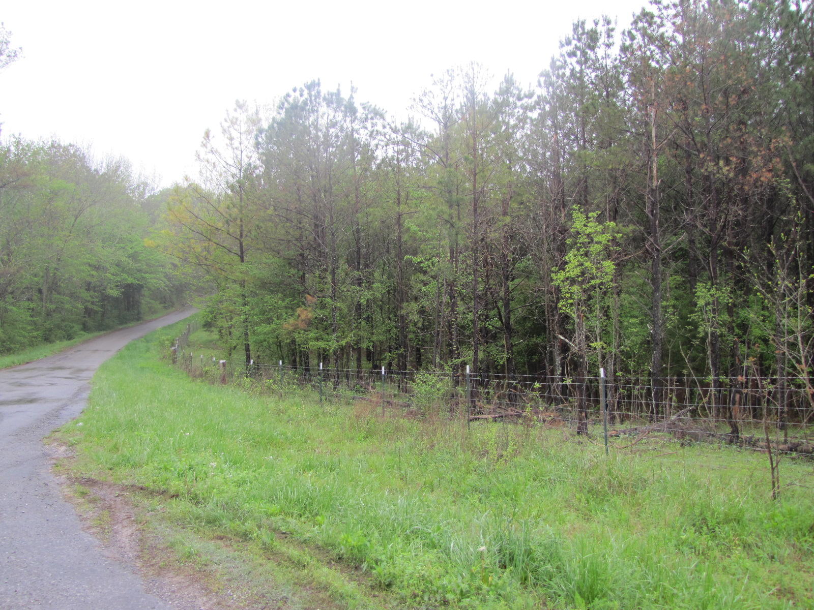 Lot 0 Liberty Church Road Old Fort, TN 37362 - Photo 3 of 15 IMG_5026