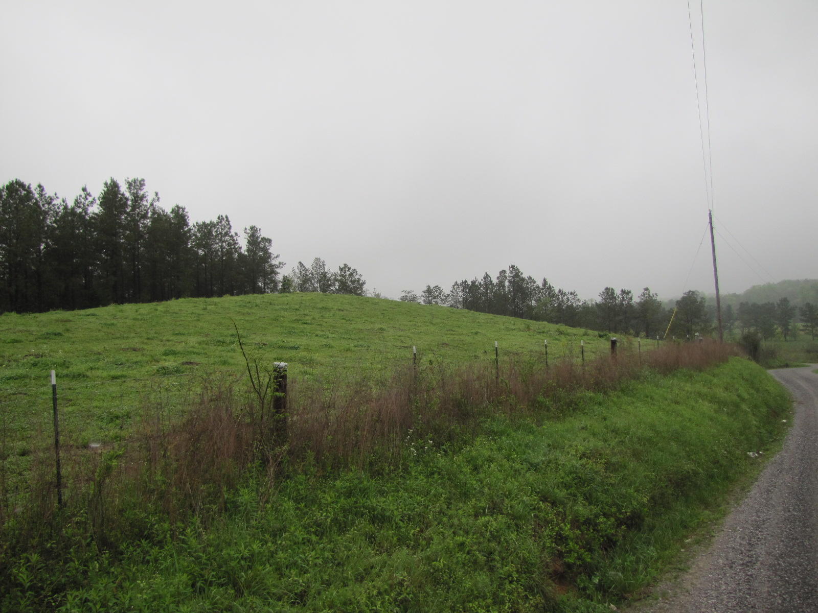 Lot 0 Liberty Church Road Old Fort, TN 37362 - Photo 8 of 15 IMG_5031