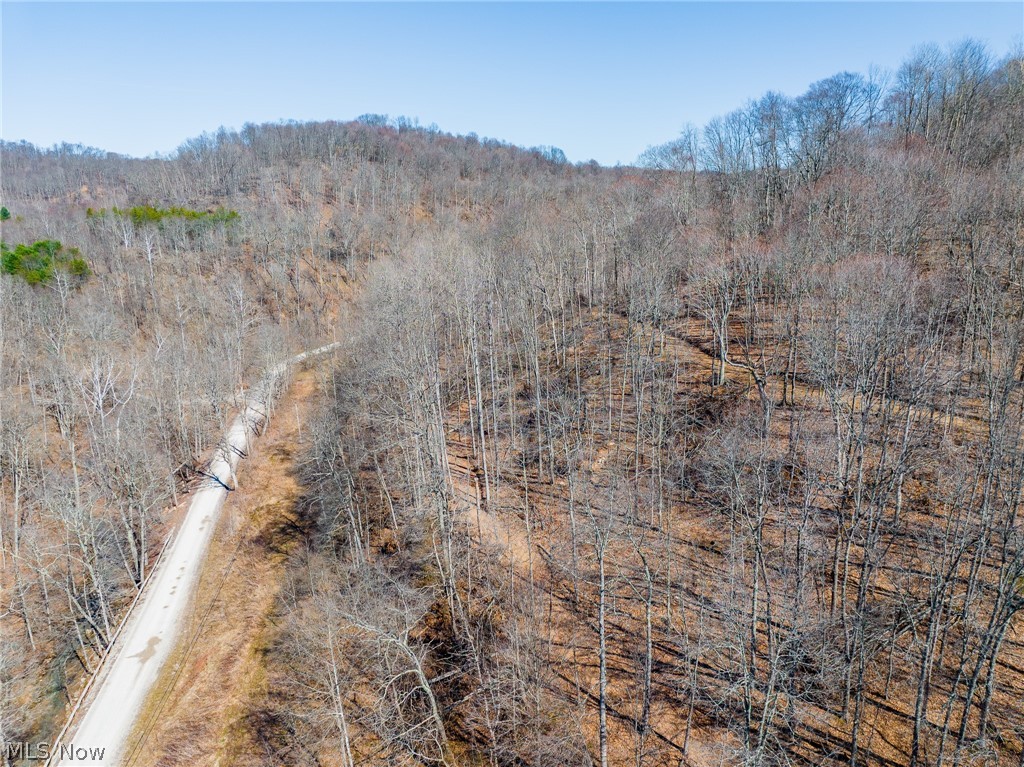 Sheepskin Ridge Road Lower Salem, OH 45745 - Photo 49 of 50 Drone / aerial view of a heavily wooded area