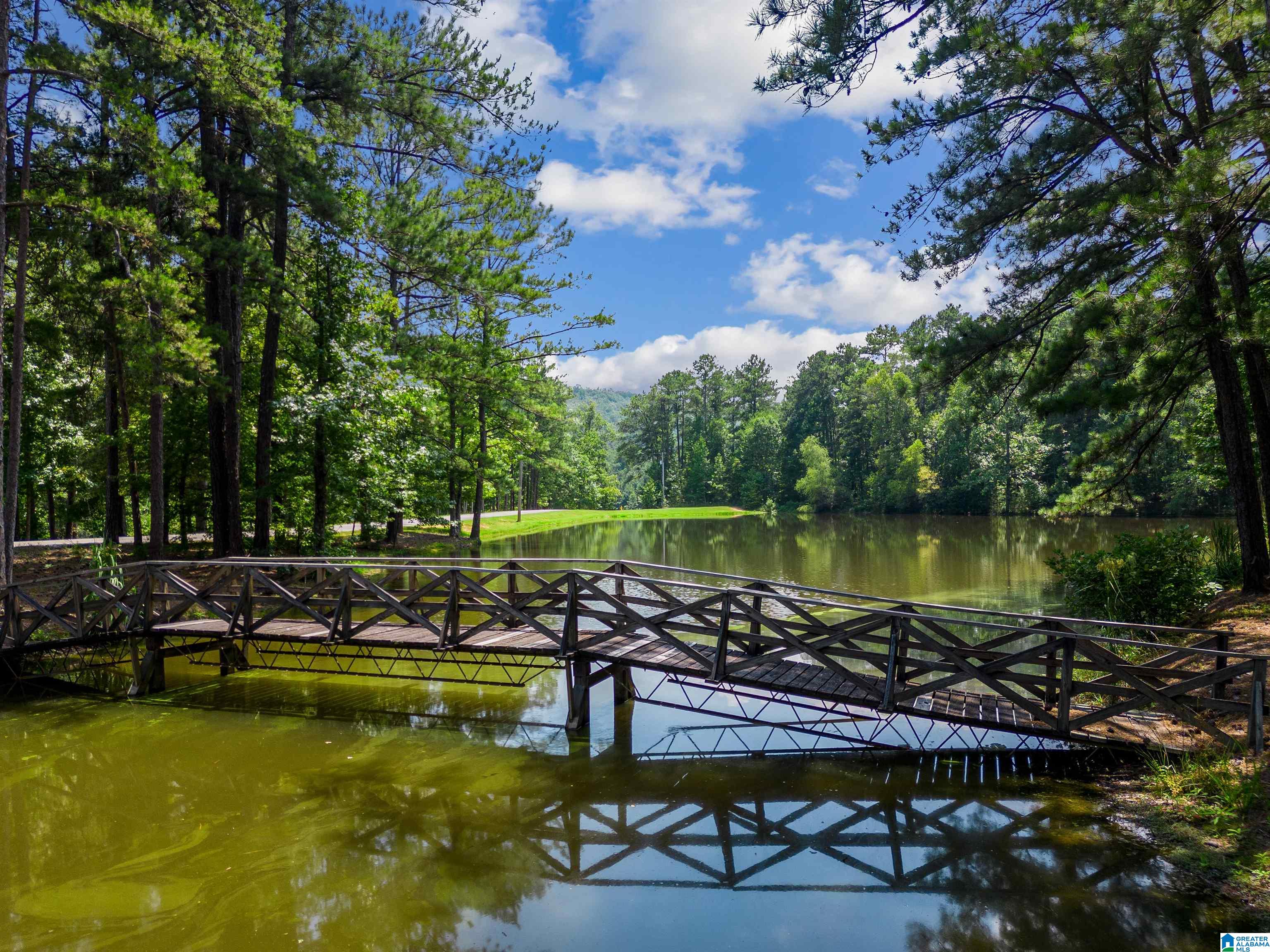 Lot 19 Saunders Bridge Road, Unit 19 Sterrett, AL 35147 - Photo 23 of 31 Gallery Image 23