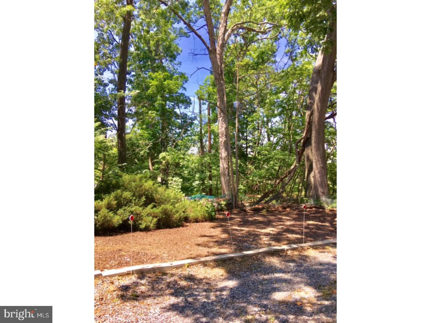 875 Centerton Road Mount Laurel, NJ 08054 - Photo 19 of 23 Driveway