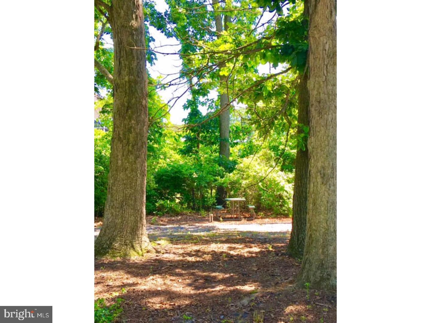 875 Centerton Road Mount Laurel, NJ 08054 - Photo 20 of 23 Side Yard