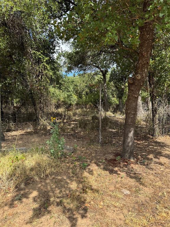 1794 Cr 527 Road Baird, TX 79504 - Photo 9 of 38 Wooded lot featuring mature trees and natural landscaping