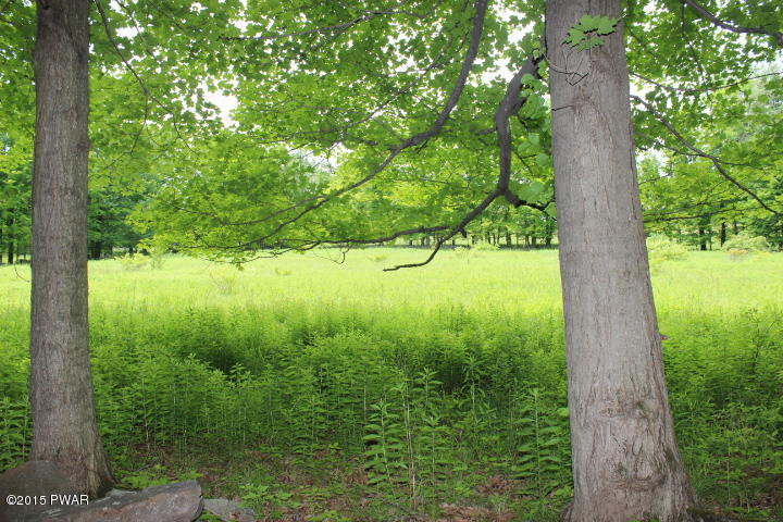 1049 Swoyer Road Lake Ariel, PA 18436 - Photo 6 of 31