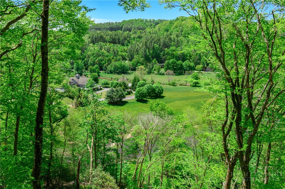 826 River Ridge Road Boone, NC 28607 - Photo 50 of 50