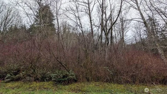 a view of backyard of house