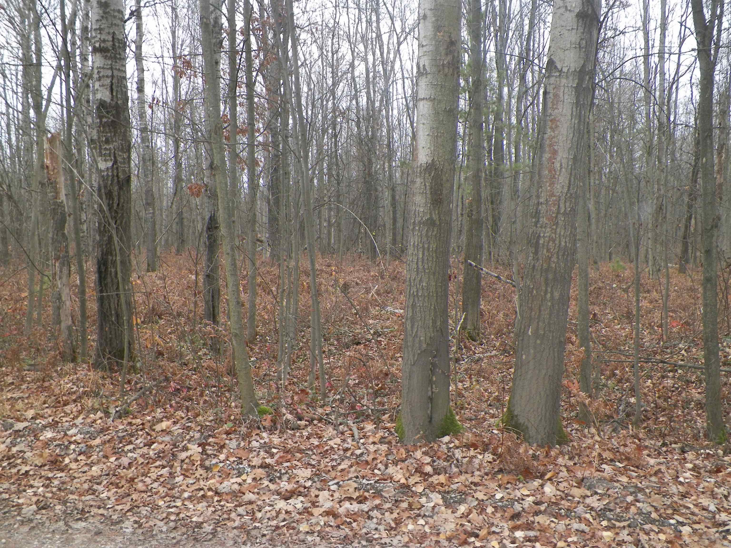 19 19 Mile Road Kingsley, MI 49649 - Photo 1 of 5