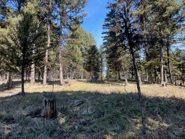 990 Elkhorn Road Seeley Lake, MT 59868 - Photo 6 of 10 Gallery Image 6