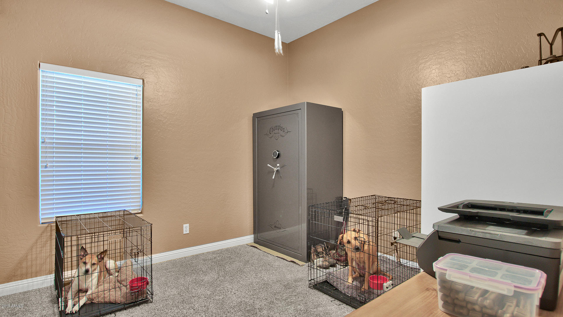 637 East Ranch Road Gilbert, AZ 85296 - Photo 18 of 34 19