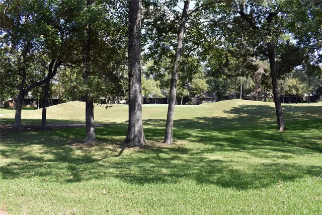 a view of a tree in a yard