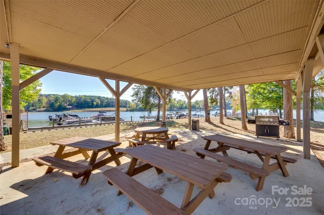 a view of a yard with a tree