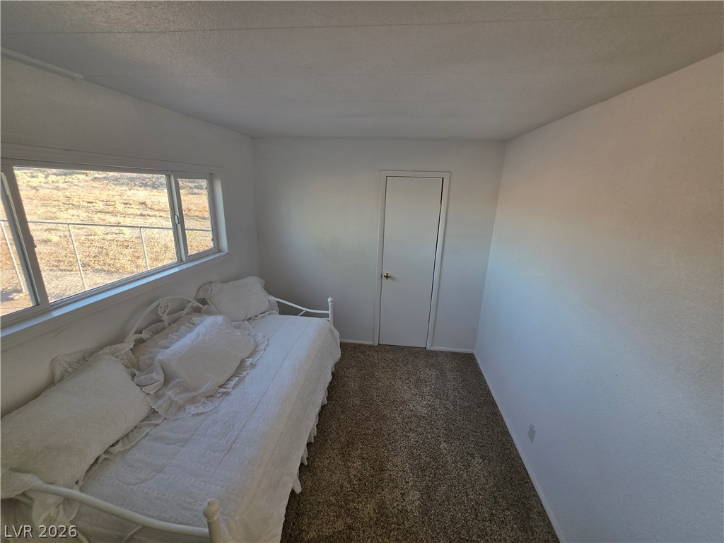 2930 Frehner Ranch Road Pioche, NV 89043 - Photo 10 of 32 A cozy bedroom with a wide window overlooking a vast, arid landscape.