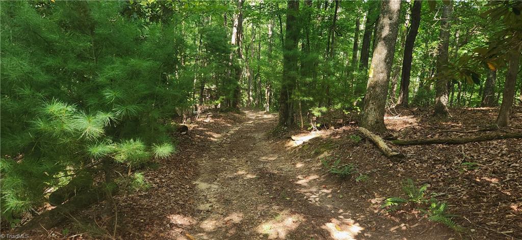 0 Lyons Road Roaring Gap, NC 28668 - Photo 10 of 11 Gallery Image 10