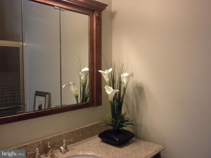 2413 Albot Road Reston, VA 20191 - Photo 14 of 24 Master Bath