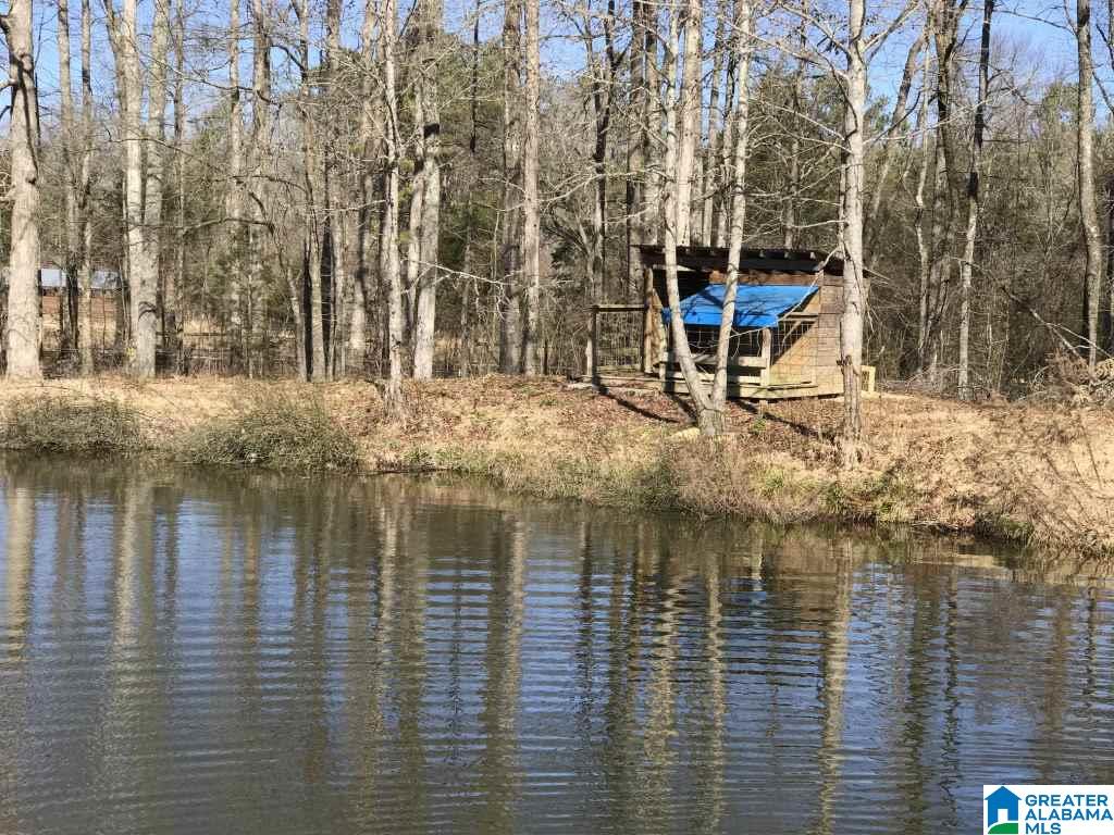 4330 Chelsea Road Columbiana, AL 35051 - Photo 11 of 37