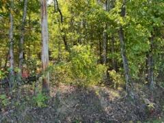 3578 Walkertown Road Dayton, TN 37321 - Photo 2 of 4 3578 Walkertown Rd Green Treese