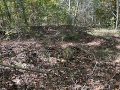 3578 Walkertown Road Dayton, TN 37321 - Photo 3 of 4 3578 Walkertown Rd Ground Brush