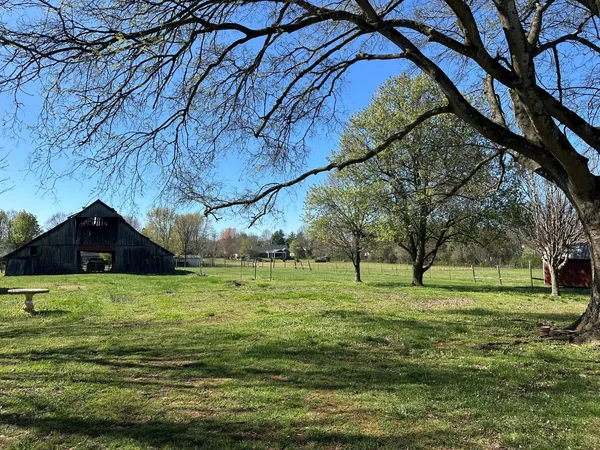 a view of a backyard with large trees