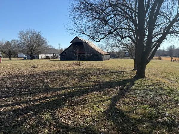 a large tree in the middle of a yard