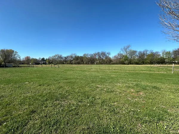 a view of a field with an ocean