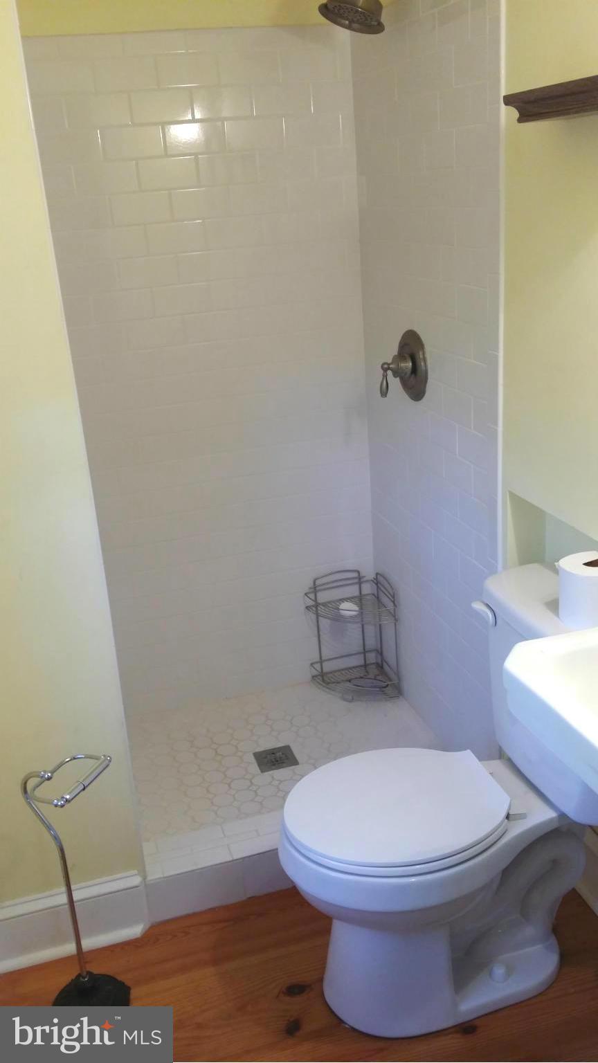 1550 Bishop Meade Road Boyce, VA 22620 - Photo 14 of 24 a white toilet sitting next to a shower